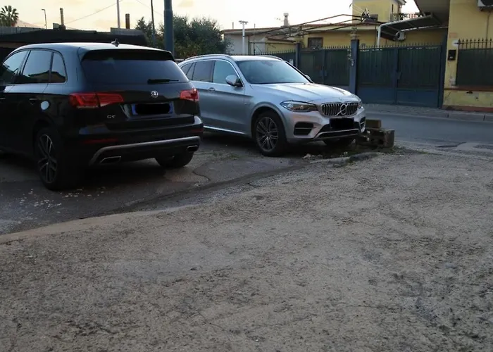 Luxury Brilliant Sisters